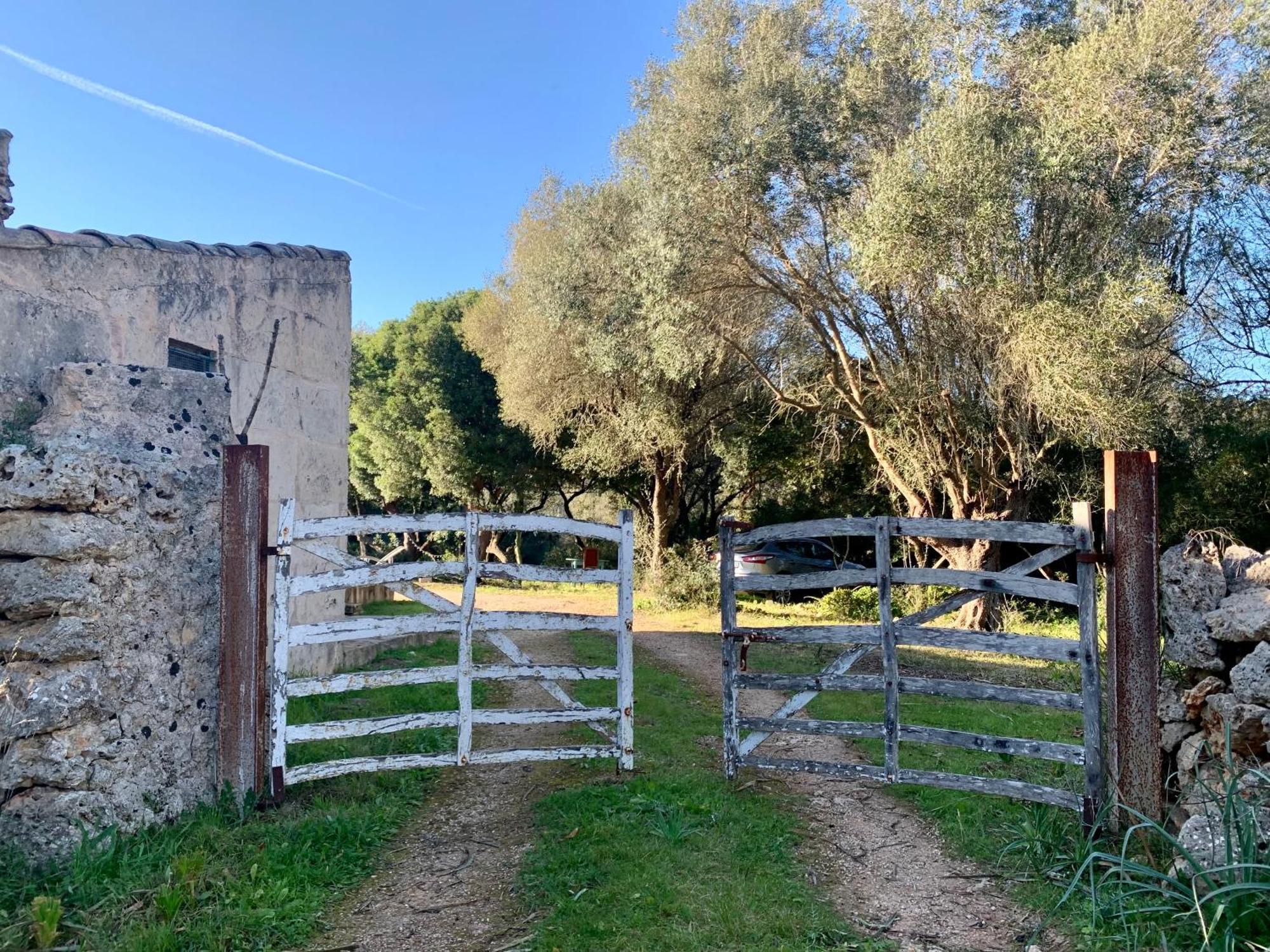 Ferienhaus Na Pruna Lloret de Vistalegre